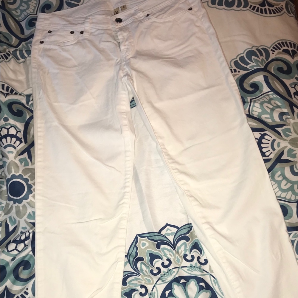 Ankle length pants
